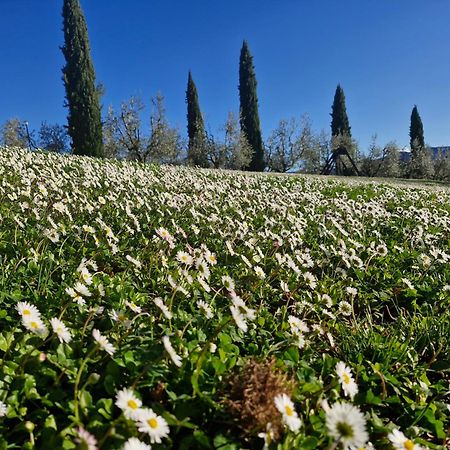 Agriturismo Val Della Pieve Ангьяри Экстерьер фото