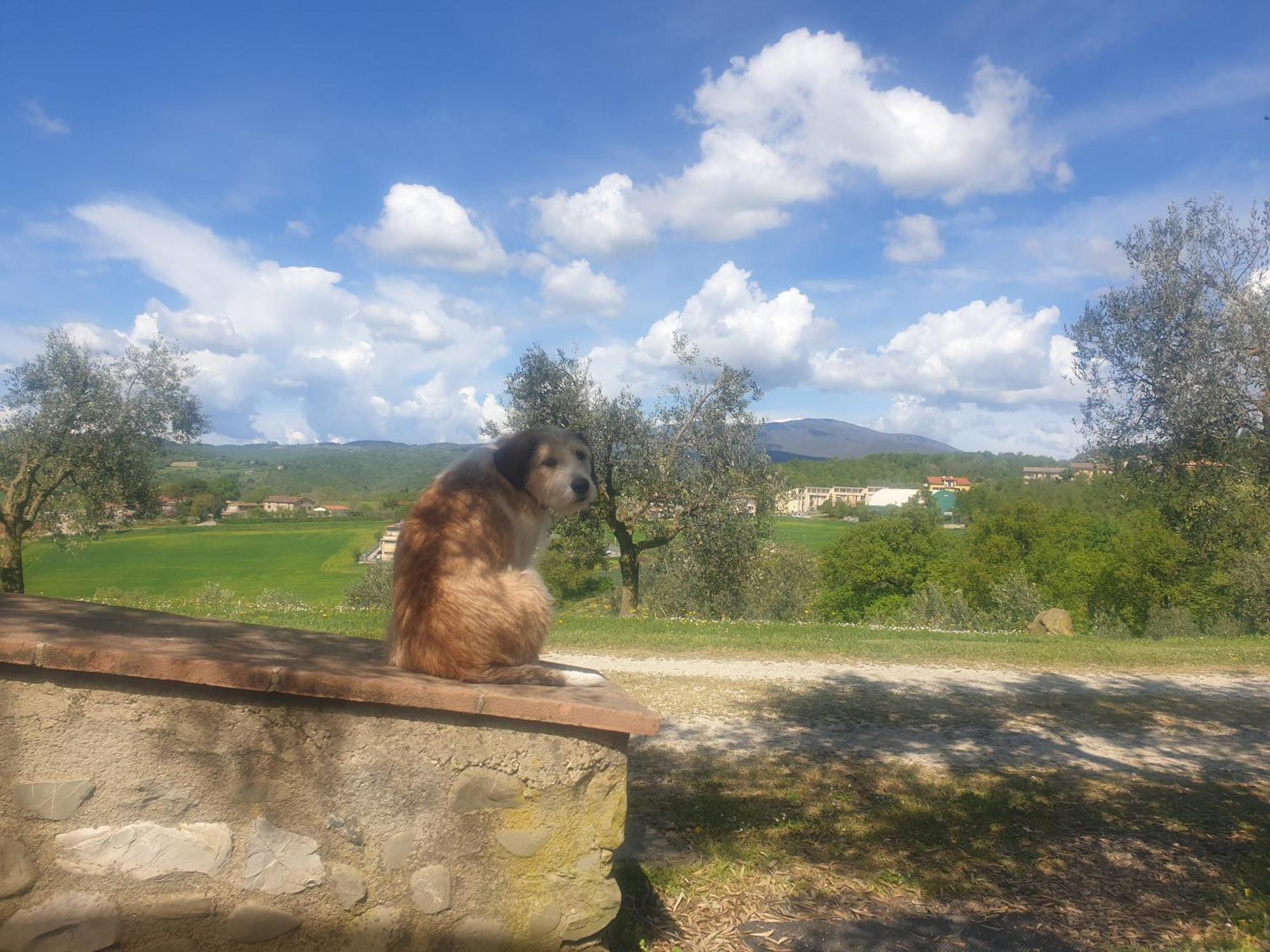 Agriturismo Val Della Pieve Ангьяри Экстерьер фото