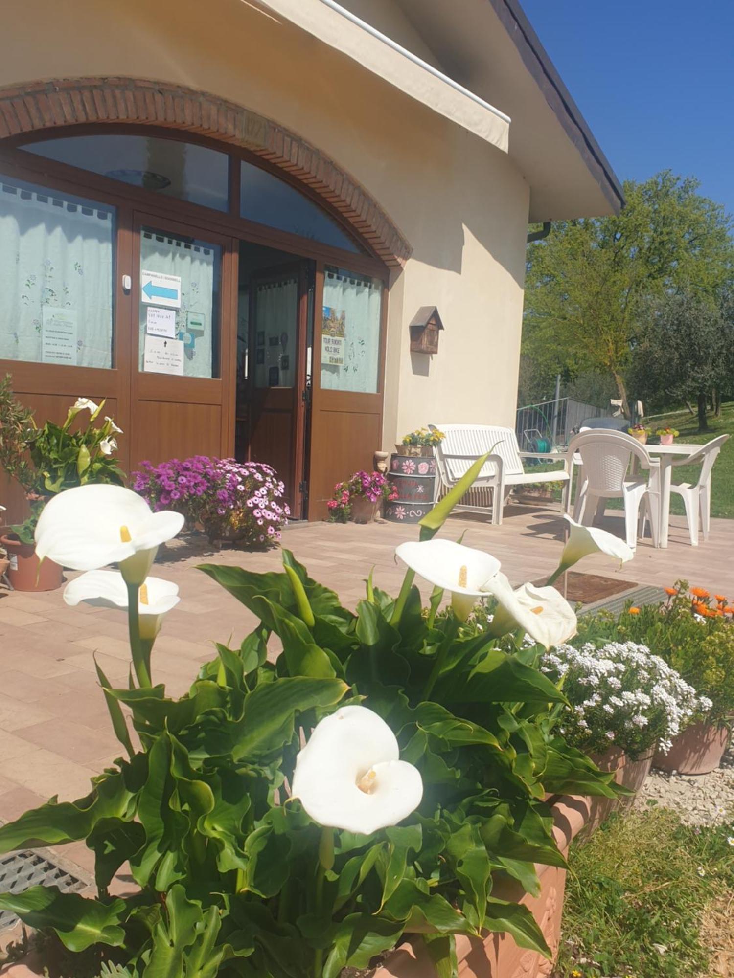Agriturismo Val Della Pieve Ангьяри Экстерьер фото