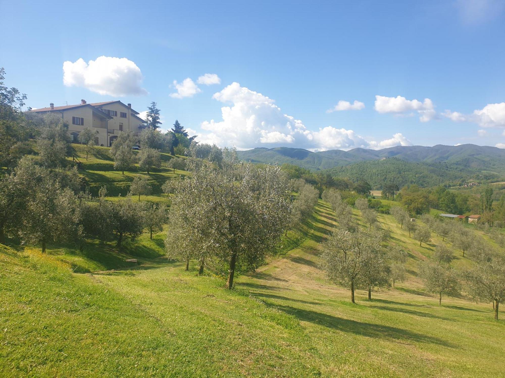 Agriturismo Val Della Pieve Ангьяри Экстерьер фото