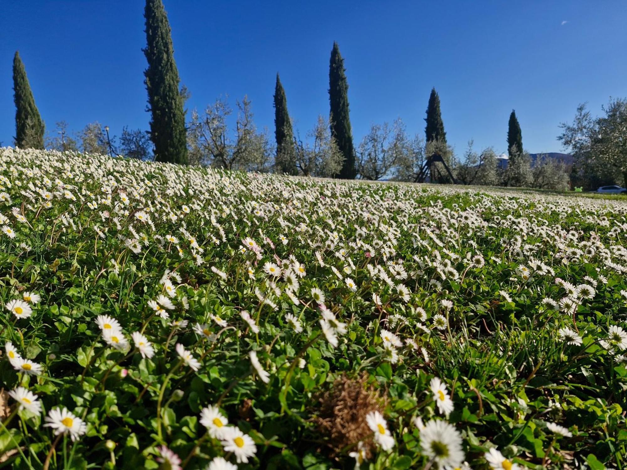 Agriturismo Val Della Pieve Ангьяри Экстерьер фото