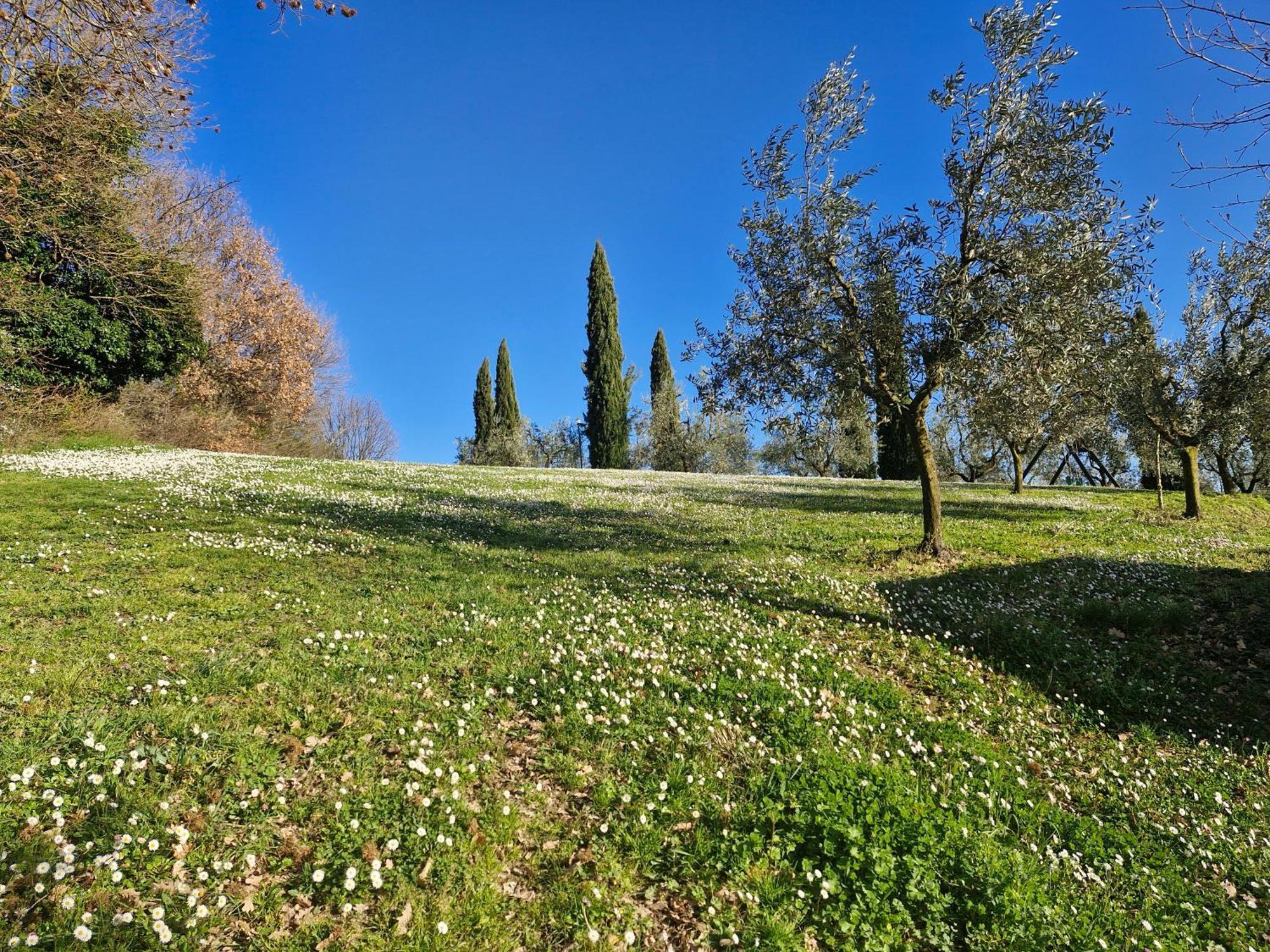 Agriturismo Val Della Pieve Ангьяри Экстерьер фото